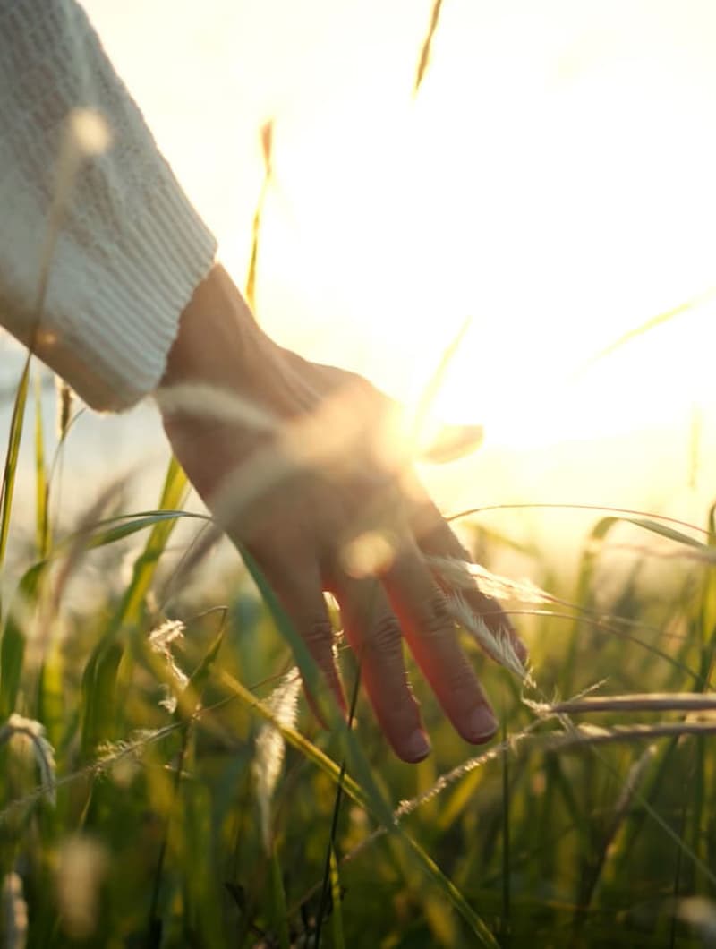 Conoce al equipo de Psicologuiños